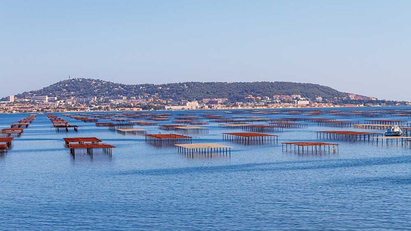 camping Beau Rivage Ciela Village Mèze bord de l'étang de Thau alentours