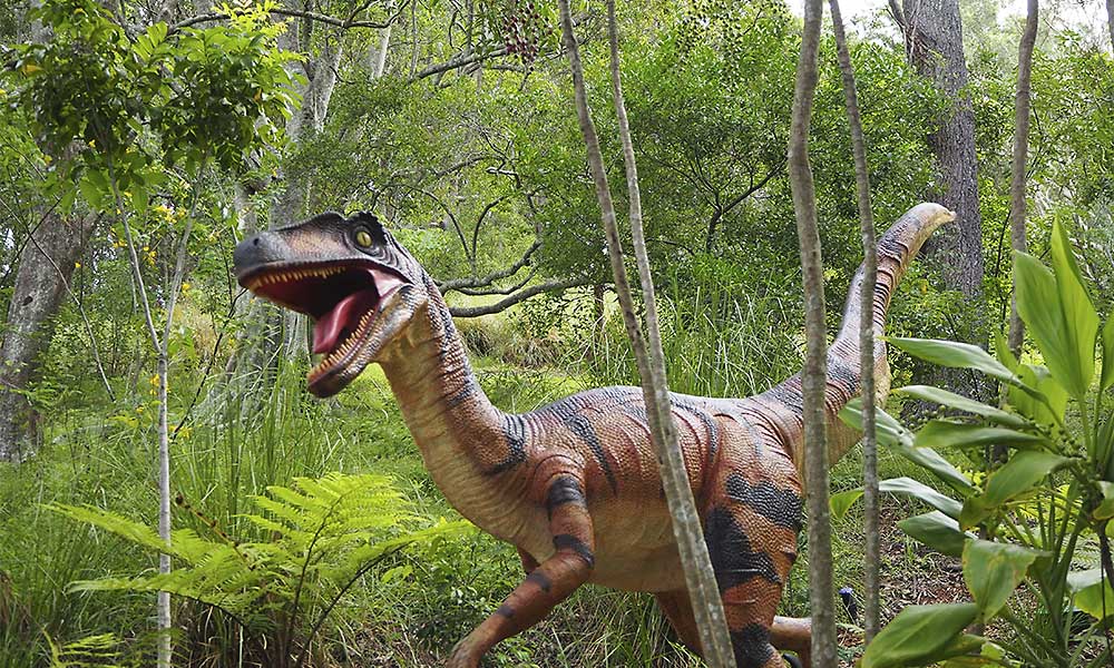 camping Beau Rivage Ciela Village Mèze bord de l'étang de Thau alentours musee dinosaure